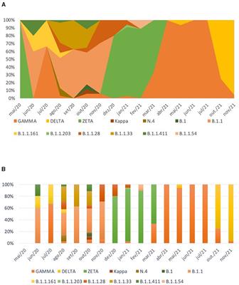 Corrigendum: Genomic characterization of SARS-CoV-2 from an indigenous reserve in Mato Grosso do Sul, Brazil